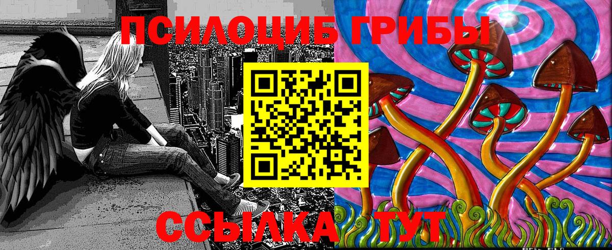 Псилоцибиновые грибы Psilocybe Джанкой