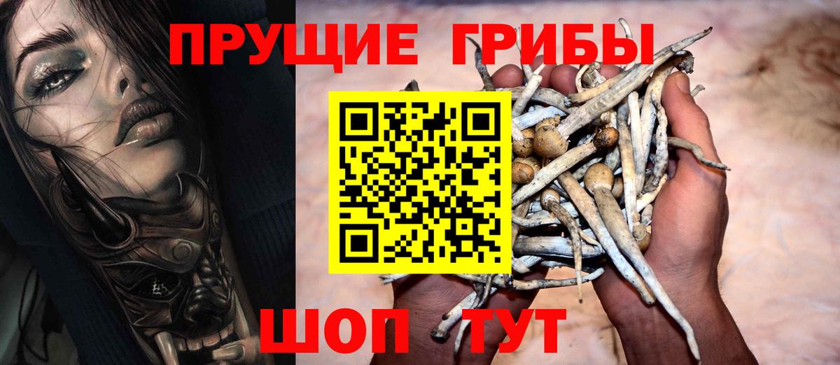 Псилоцибиновые грибы прущие грибы  Вход с VPN  Джанкой  Псилоцибиновые грибы Psilocybe 